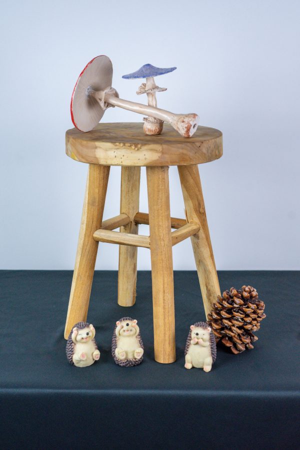 Petit champignon émaillé – Image 2